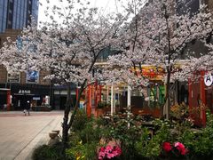 -绿地风尚天地广场