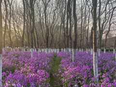 -白塘生态植物园