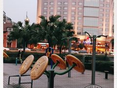 -神仙树公园