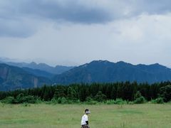 -玉舍国家森林公园