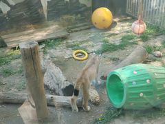 -青藏高原野生动物园