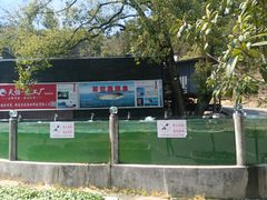 -天怡·鱼工厂(梅溪湖店)