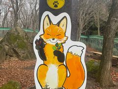 -宫城藏王狐狸村