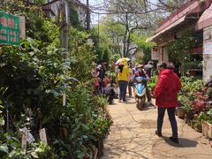 -桂林市花鸟市场