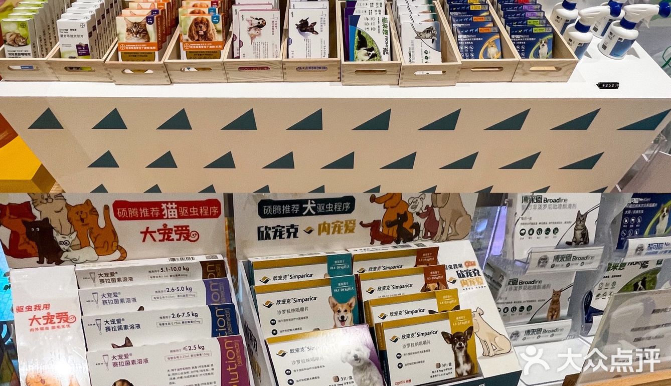 魔都贴心萌宠｜家有萌宠的呵护之旅
