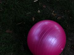 -映月湖中央公园