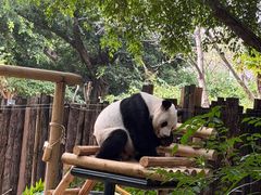 -深圳野生动物园