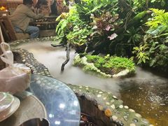 -多哥水傣味餐厅(司马巷店)