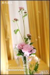 美雯苏宁卢浮宫-苏宁环球套房饭店·宴会厅