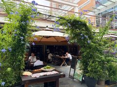 -缘生态云南菜·野生菌庭院餐厅(华侨城店)