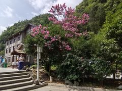 -高荡千年布依古寨旅游景区