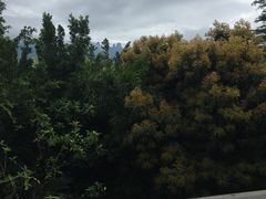 -七仙岭温泉国家森林公园