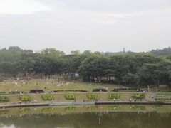 -东莞植物园