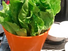 -古乐牛香·鲜牛肉牛杂火锅(五一中路店)