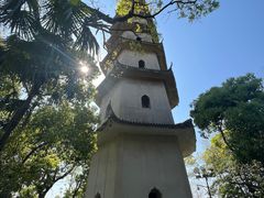 -江心屿景区