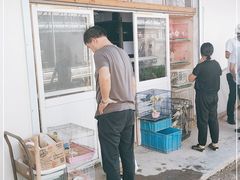 -南汇花鸟市场(上海浦东新花卉店)