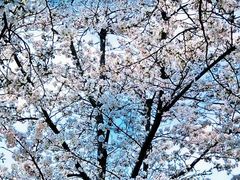 -象屿大宁悦府