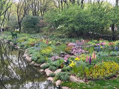 -上海共青森林公园