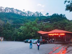 -鲤鱼塘农家山庄