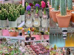 -KKV(深圳宏发大仟里店)