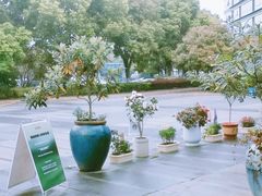 -Beans Solo豆号咖啡(百家湖花园店)