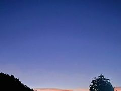 -武陵山森林公园