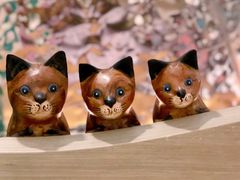 -飞行喵MR PILOT|猫舍·猫咖(静安大融城店)