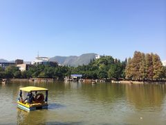 四海公园-四海公园(南山区)
