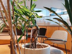 -Wagas沃歌斯(信泰中心商场店)