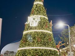 -深圳湾万象城(南山店)