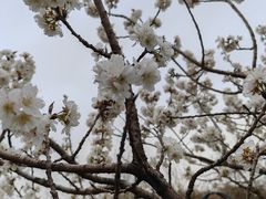 -南京中医药大学(仙林校区)