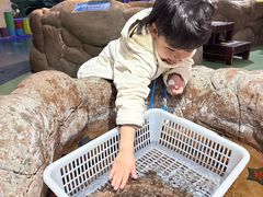 -大连圣亚海洋世界