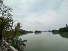 -长广溪湿地公园