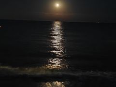-南戴河旅游度假区
