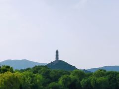 -北坞公园
