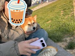 -Manner Coffee(徐汇滨江店)