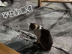 -洪大厨鸡煲(福田店)