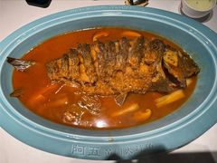红烧黄河鲤鱼-阿五黄河大鲤鱼(纬三路店)