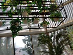 -金海湾自助餐厅(金陵饭店)