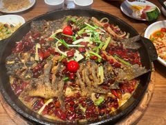 -老板恋上鱼(恒隆广场店)