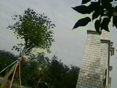 -丹樱生态园