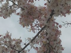 -白石龙音乐公园