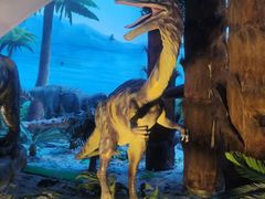 -辽宁古生物博物馆