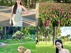 -东南花都花博园