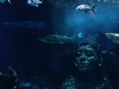-暹罗海洋世界