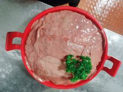 -杨肥肠小火锅(新桥店)