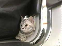-宠颐生中康贝怡动物医院