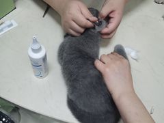 -派特宠物医院(圆融广场店)