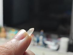 -火炉山森林公园