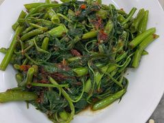 -新峰肉骨茶